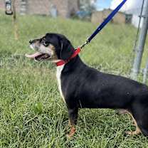 Thumbnail photo of Sinny #4