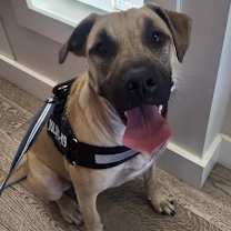 Thumbnail photo of Amaretto #1