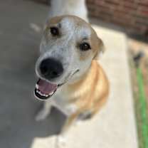 Thumbnail photo of Grizz #2