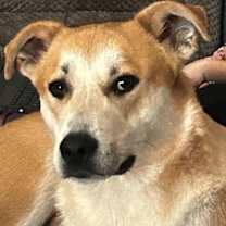 Thumbnail photo of Grizz #4