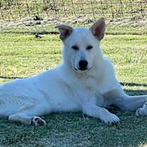 Thumbnail photo of Trip #1