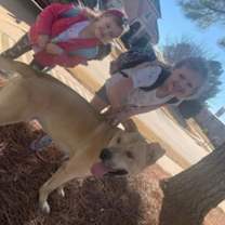 Thumbnail photo of Rocky #1