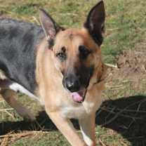 Thumbnail photo of Mabel #1