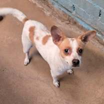 Thumbnail photo of Julio #1