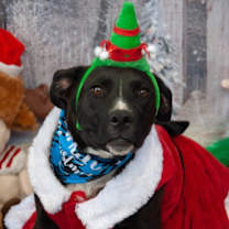 Thumbnail photo of Jenny #1