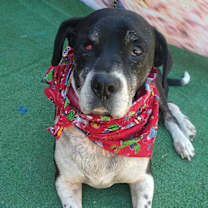 Thumbnail photo of Diego #2