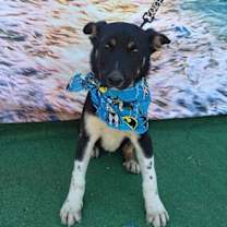 Thumbnail photo of Peter #1