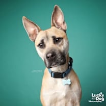 Thumbnail photo of Colton #2