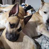 Thumbnail photo of Colton #3