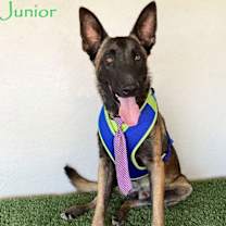 Thumbnail photo of Junior #1