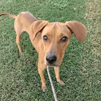 Thumbnail photo of Jessie #2