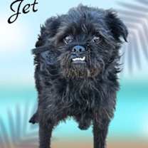 Thumbnail photo of Jet #3