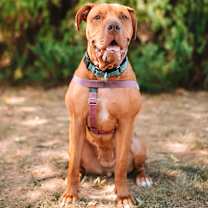 Thumbnail photo of Clementine #1