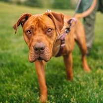 Thumbnail photo of Clementine #4