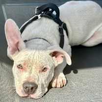 Thumbnail photo of Hudson #1