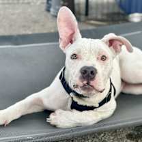 Thumbnail photo of Hudson #2