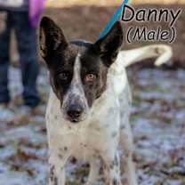 Thumbnail photo of Danny #3