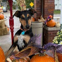 Thumbnail photo of Lilly #2
