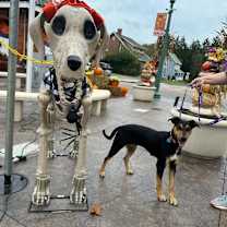 Thumbnail photo of Lilly #3