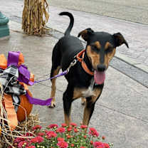 Thumbnail photo of Lilly #4