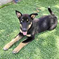 Thumbnail photo of Britt #1