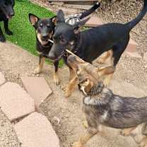 Thumbnail photo of Britt #4