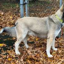 Thumbnail photo of CUBBY HIKER #4