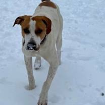 Thumbnail photo of Chance #4