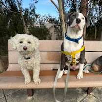 Thumbnail photo of Kai #2