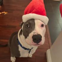 Thumbnail photo of Kai #3