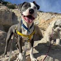 Thumbnail photo of Kai #4