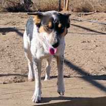 Thumbnail photo of Nelly #1