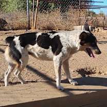 Thumbnail photo of Nelly #3