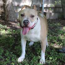 Thumbnail photo of Leo #1