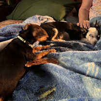 Thumbnail photo of Lyla #1