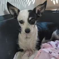 Thumbnail photo of Lyla #3