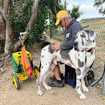Thumbnail photo of Ares #3