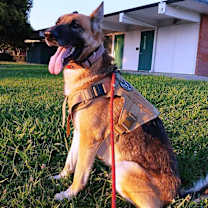 Thumbnail photo of Riley #1