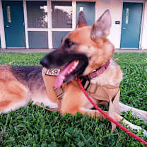 Thumbnail photo of Riley #3