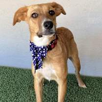 Thumbnail photo of Marla #2