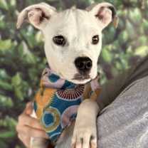 Thumbnail photo of Casper (GA) #1
