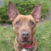 Thumbnail photo of Murray #3