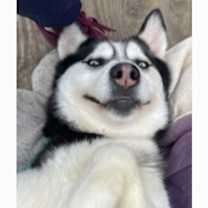Thumbnail photo of SKYLAR-Pending #2