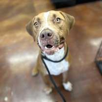 Thumbnail photo of Walter #2