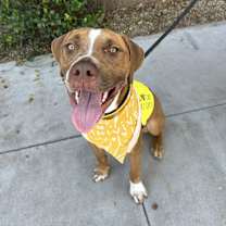 Thumbnail photo of Walter #3