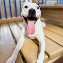 Thumbnail photo of Thelma #1