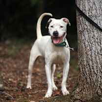 Thumbnail photo of Victoria #4