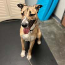 Thumbnail photo of Ellie #2