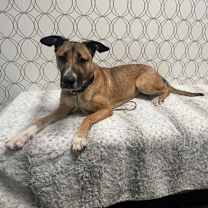 Thumbnail photo of Ellie #4