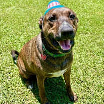 Thumbnail photo of Jack H #1